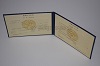 Стоимость диплома техникума УзбекАССР 1975-1991 г. в Назарово (Красноярский Край)