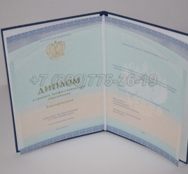Диплом Колледжа 2023г СпецБланк в Красноярске
